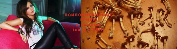 МДМА Горнозаводск