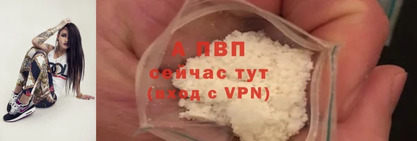 ПСИЛОЦИБИНОВЫЕ ГРИБЫ Гусев