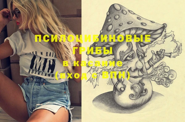 экстази Горняк