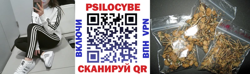 Псилоцибиновые грибы мицелий  где можно купить наркотик  кракен как зайти  Невьянск 